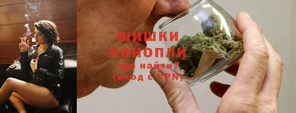 ALPHA PVP Инсар