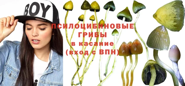 ALPHA PVP Инсар
