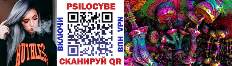 Псилоцибиновые грибы MAGIC MUSHROOMS  где продают   Тара 